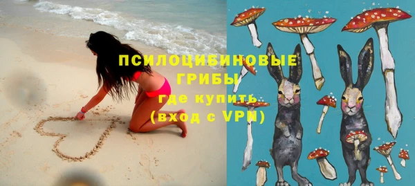 шишки Алексеевка