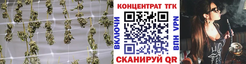 купить   Тулун  ТГК жижа 